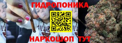 прущие крисы Лесосибирск