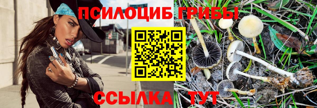Галлюциногенные грибы MAGIC MUSHROOMS Холмск
