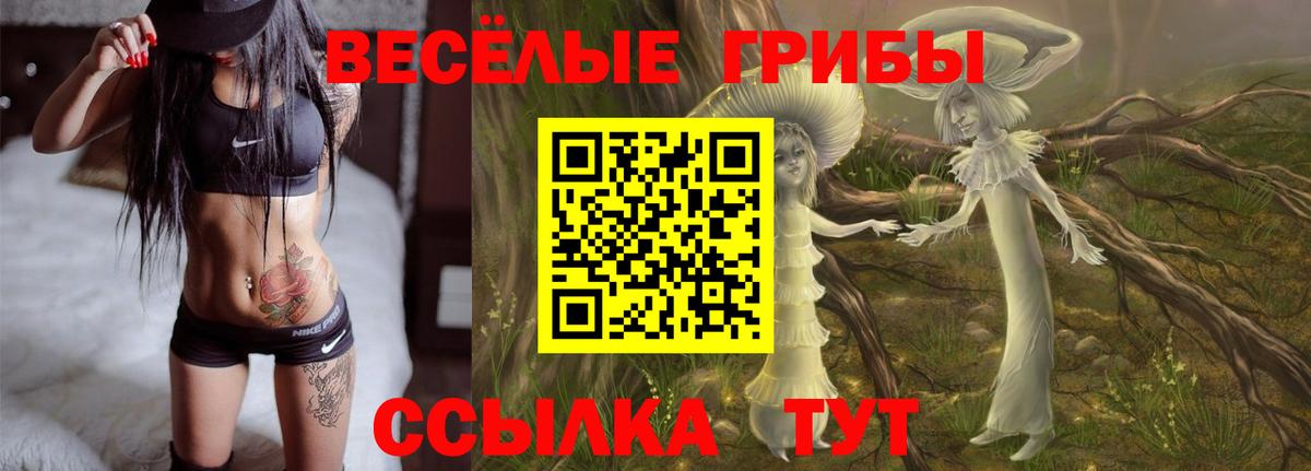 Псилоцибиновые грибы MAGIC MUSHROOMS  Вход с VPN  Псилоцибиновые грибы Psilocybe  Холмск 
